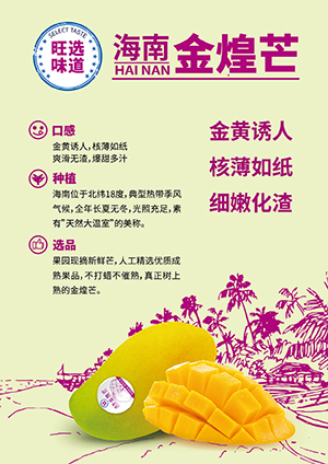 海南金煌芒