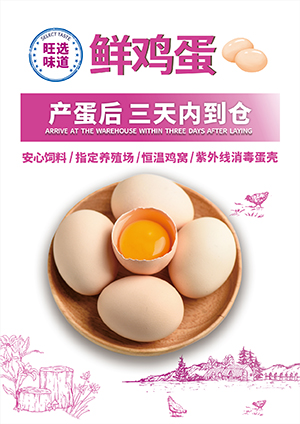 鲜鸡蛋