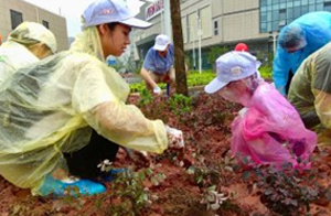 植树活动